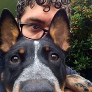 rainierwardach avatar