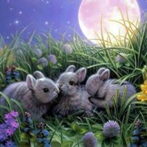 housekeeping_fairy avatar