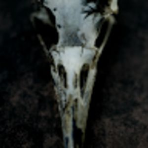 anonimasneinomas avatar