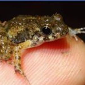 jasbinder_dhillon avatar