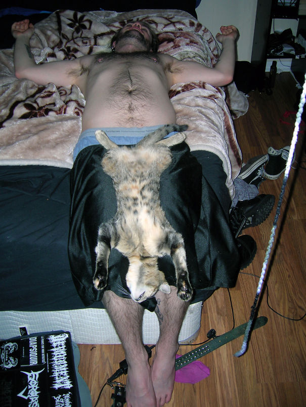 Walked In On My Boyfriend And My Cat Hanging Out