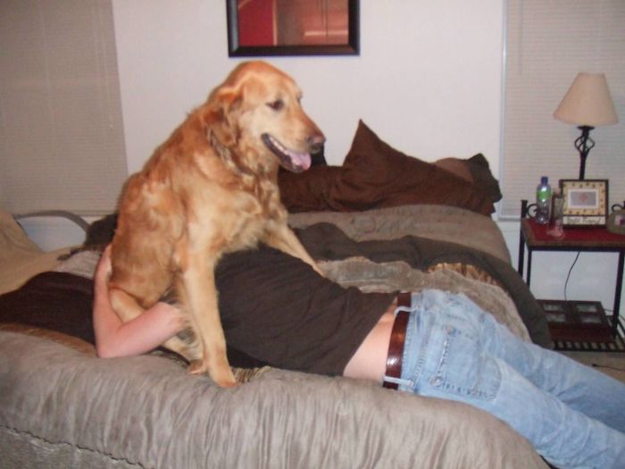 I Walked In On My Husband Trying To "Pick Up" The Dog