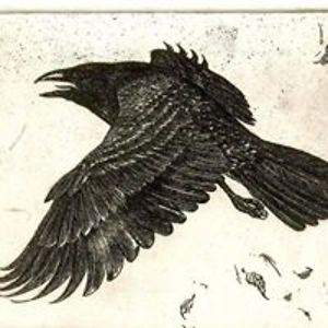 samlikestocook avatar