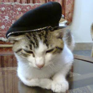 reginalddchattion avatar