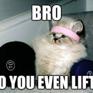 liftinheavyizwhatido avatar