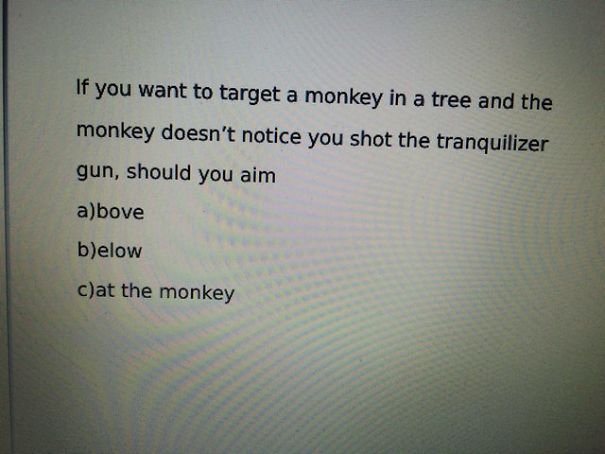 The Three Multiple Choice Options My Physics Teacher Gave For This Example Problem