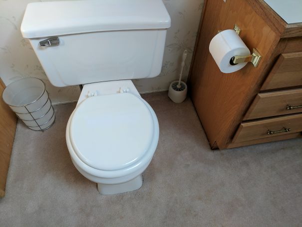 This Carpeted Bathroom