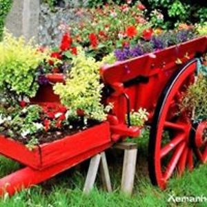 ferreiracleo36 avatar