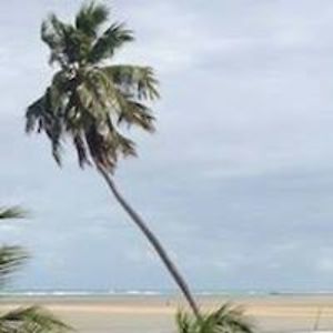 gerritconfurius avatar