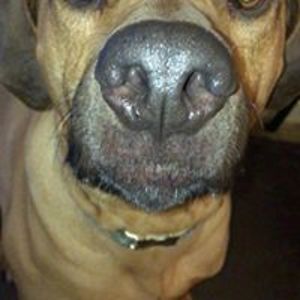 iamsevenofseven avatar