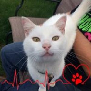 m_and_g_wil_be avatar