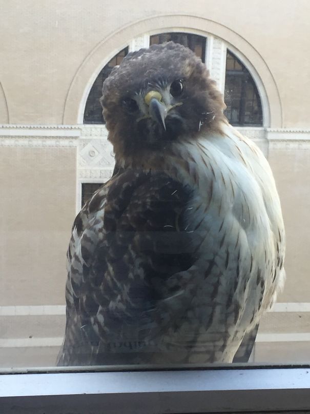 This Guy Is Just Staring At Me As I Work