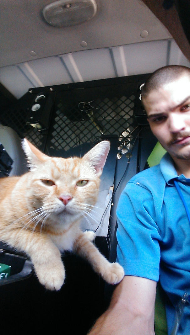 Sitting In My Work Truck Yesterday When This Guy Decided To Jump Through My Window And Hang Out For A While. Have No Idea Where He Came From And He Left When I Started My Truck