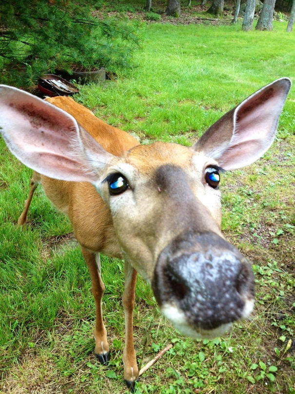 In A Cabin In The Mountains And This Guy Walks Up To Me