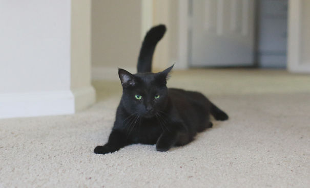 Woke Up To A Knock At The Door, This Guy Walks In, Refuses To Leave