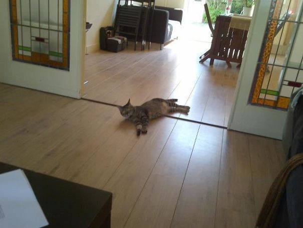 If It's Hot And I Open My Back Door, This Happens. I Don't Even Know This Guy