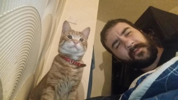 Was Woken Up At 2.45 This Morning By This Asshole. I Don't Own A Cat. Is This How You Get A Cat?