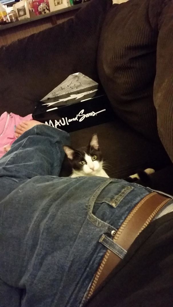 Left My Door Open And Fell Asleep. This Is What I Woke Up To. I Don't Own A Cat