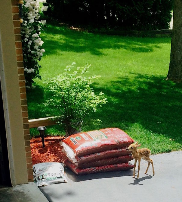 Someone Came To Visit