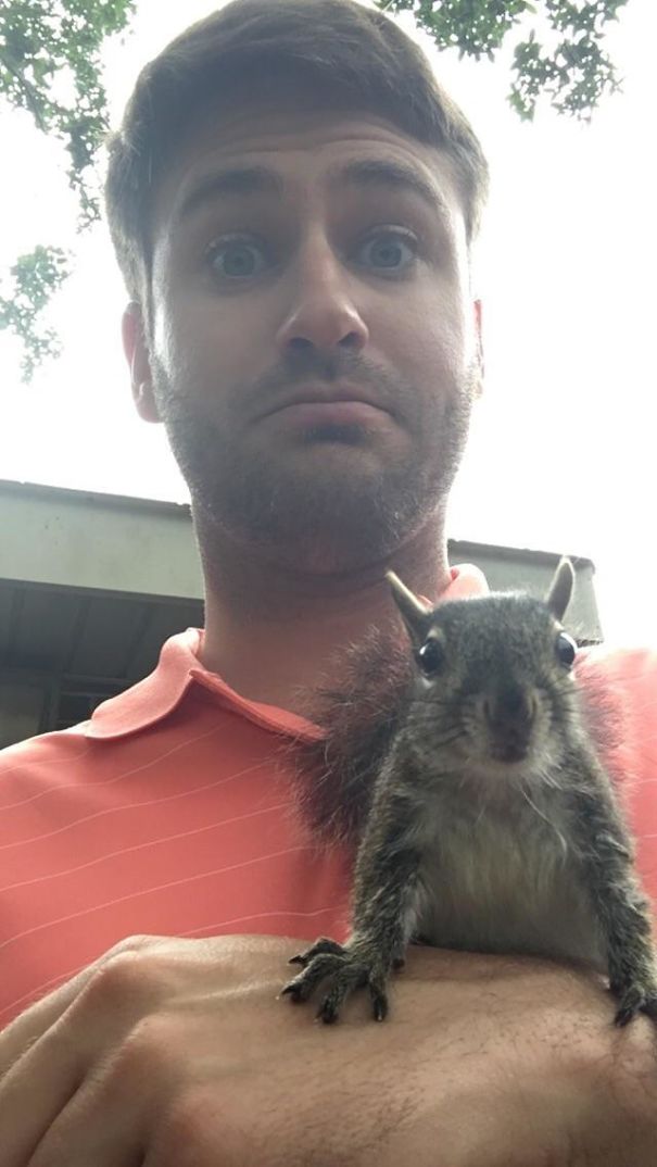 After Nursing Hercules For 4 Weeks, I Released Him Outside, And He Has Been Coming Back To Visit Every Day!