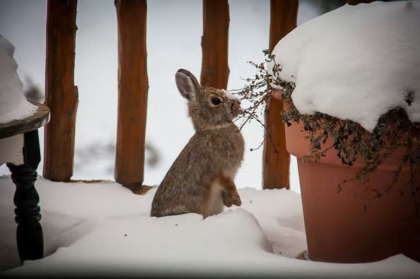 Out On A Friend's Porch This Morning