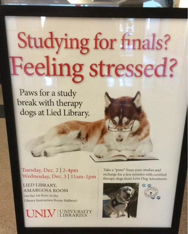 Therapy dog poster at library offers stress relief study break, showcasing genius school ideas for students.