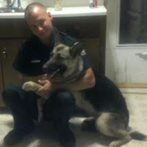 danieldeardorff avatar