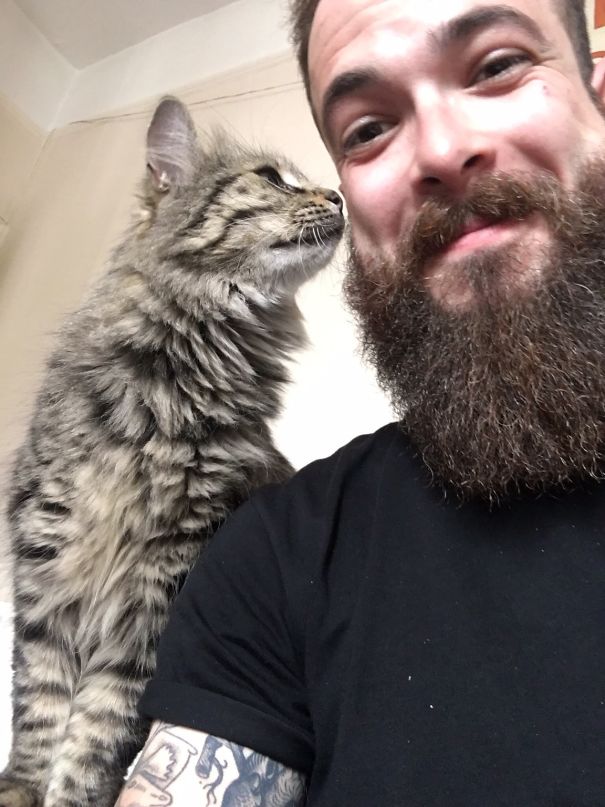 The Cat That Lives Next-Door Came In To Say Hello