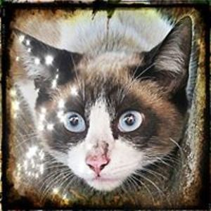 fabricadesites avatar