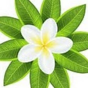 alexxliindholm avatar