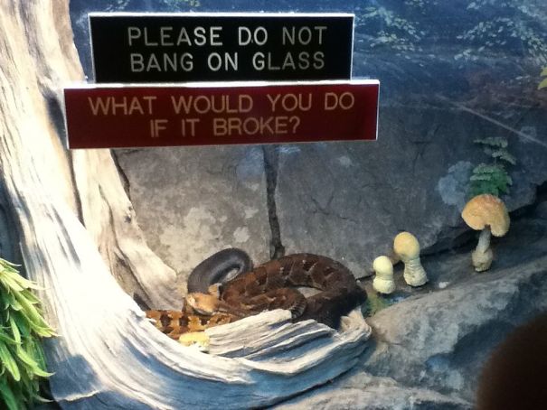 Funny Zoo Sign