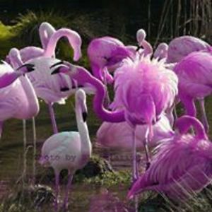 mariasullivan51 avatar