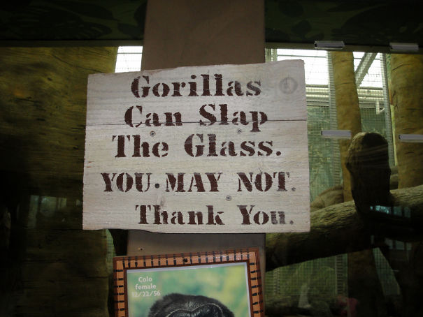 Funny Zoo Sign