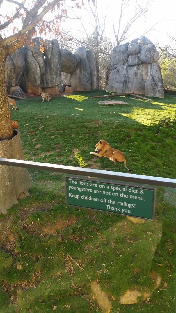 Funny Zoo Sign