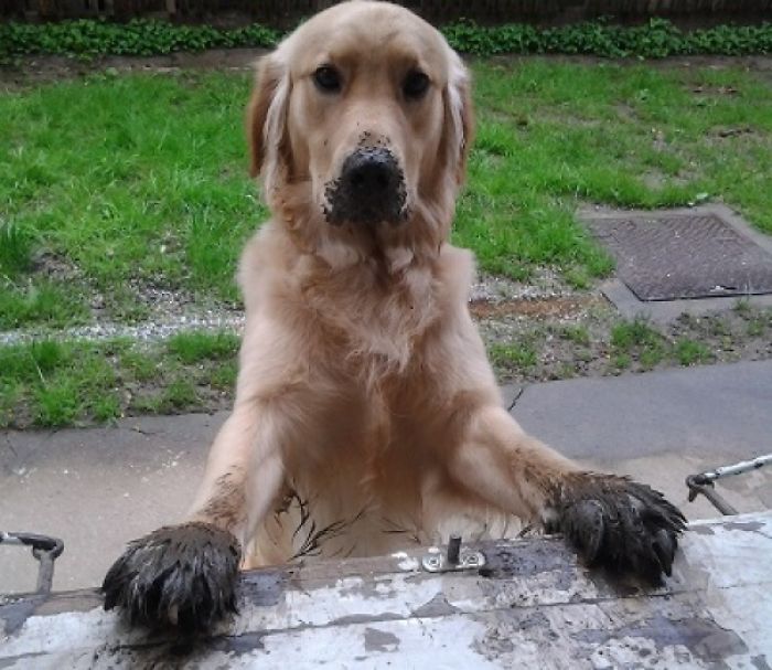 I Was Required To Inspect The Mud