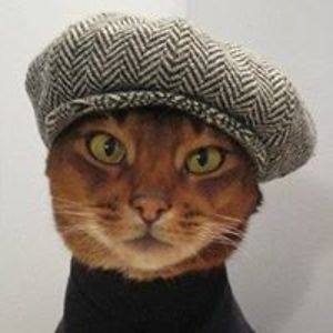 anitagreer2013 avatar