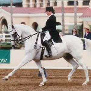 lkmdressage avatar