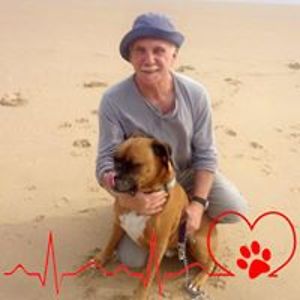 wesselwolmarans123 avatar