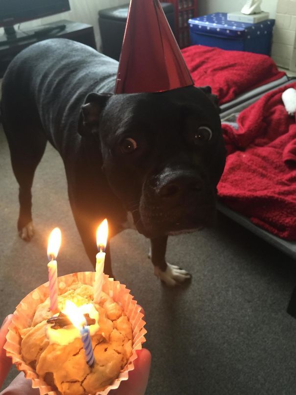 He Turned Three Today... And Was Scared Of His Cupcake!
