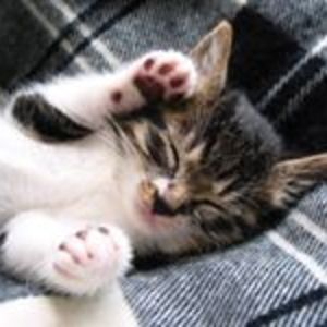 cynderella112069 avatar