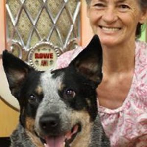 plangford1952 avatar