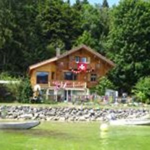 judyandthegang avatar