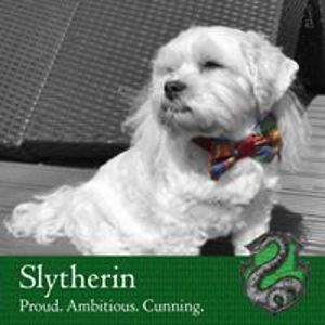 nayeliandgeorge avatar