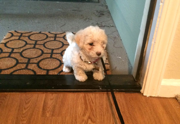 Too Scared To Walk Through The Door