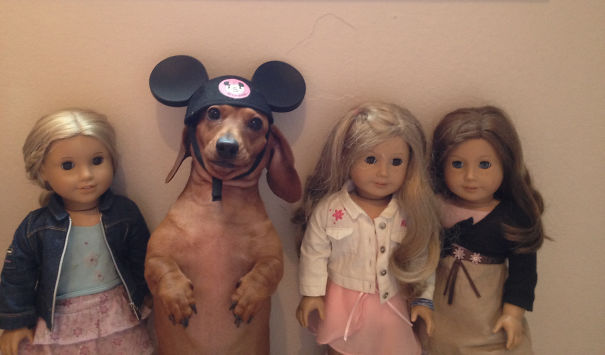 Just Trying To Fit In