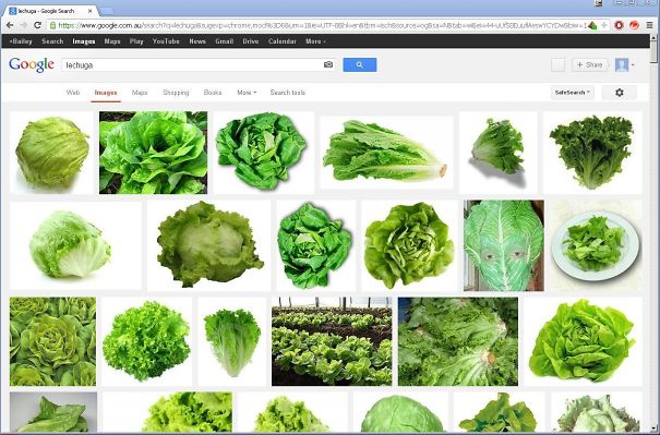 There's Always That One Image That Doesn't Belong