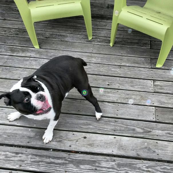 He's Scared Of Bubbles Apparently