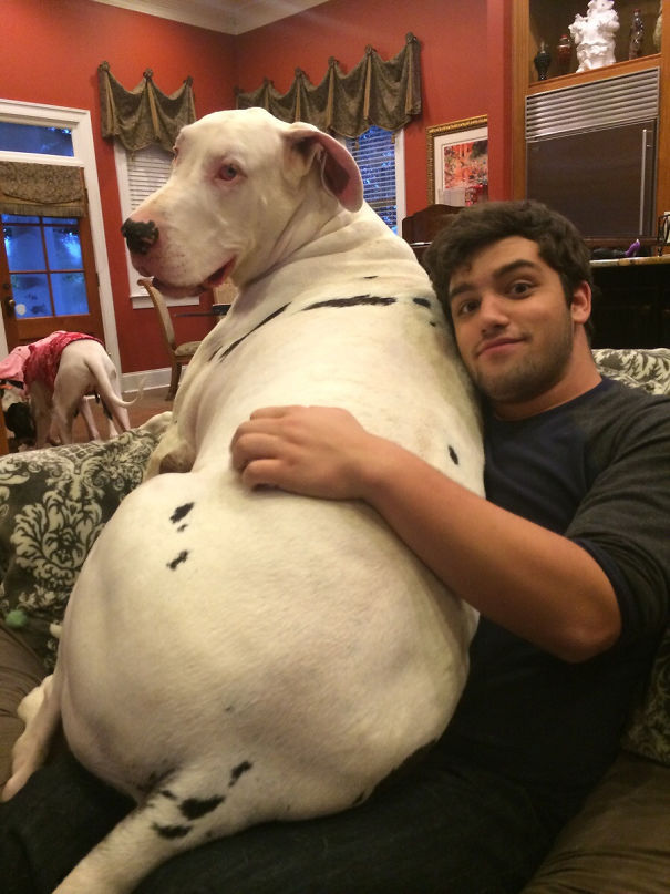 My Boyfriend's "Puppy" Is Afraid Of Thunder