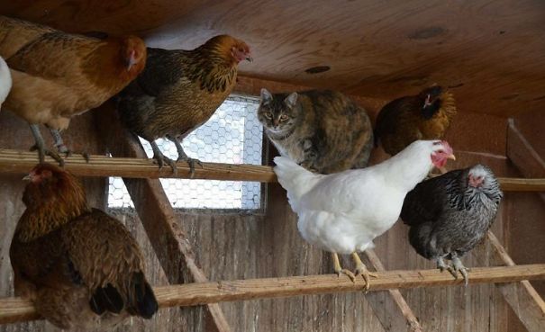 Day 3 And I'm Still Accepted As One Of Them