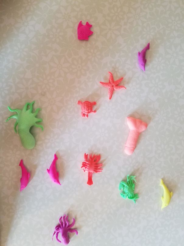 My Son Got These Toys That Grow In The Water For Christmas. One Of Them Is Not Like The Others